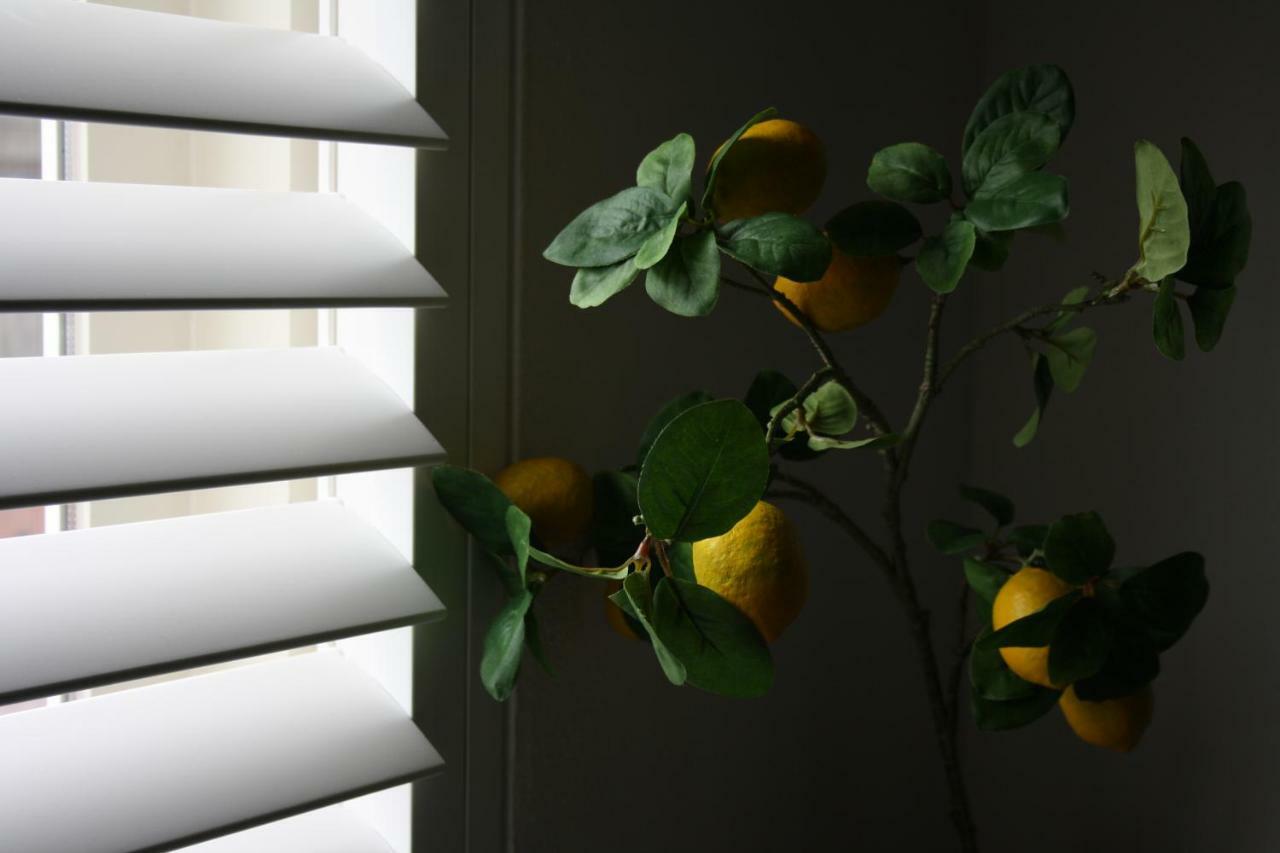 Zandvoort Studio 外观 照片